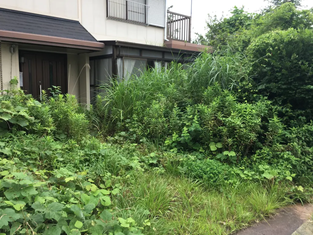 庭木の剪定、草刈り、お庭の管理