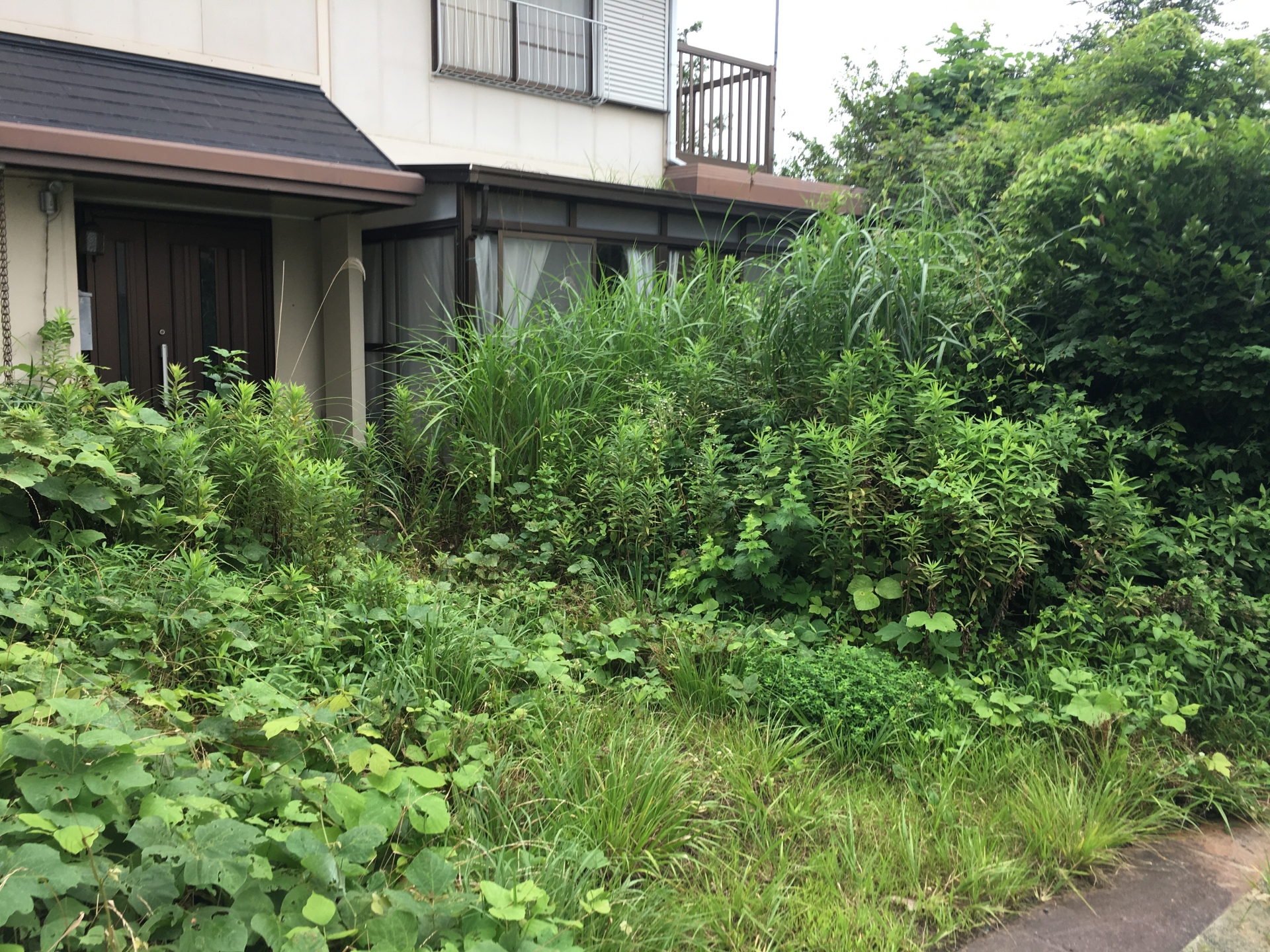 庭木の剪定、草刈り、お庭の管理