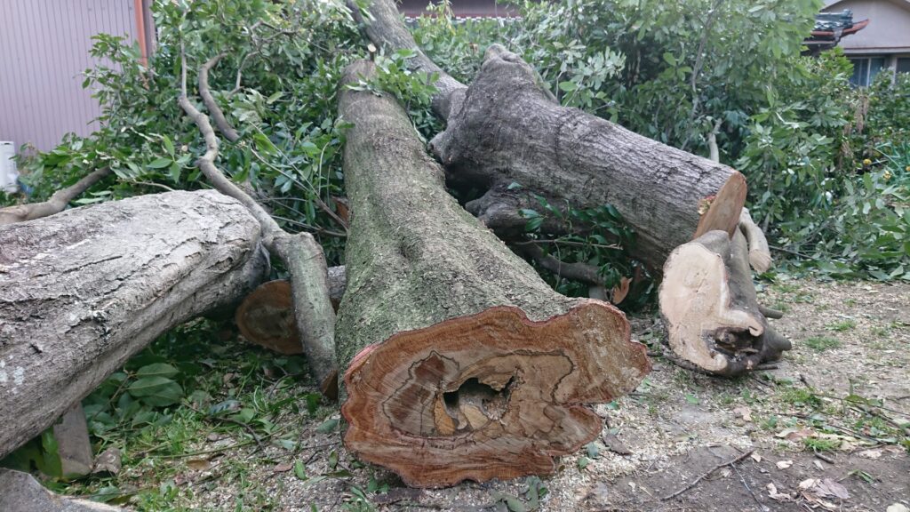 庭木の伐採・剪定